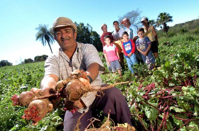 Agricultura familiar elege cinco deputados e um senador