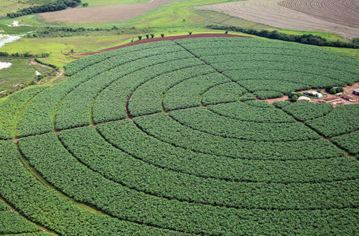 Imposto menor sobre grandes latifúndios de terra é injusto e precisa ser revisto